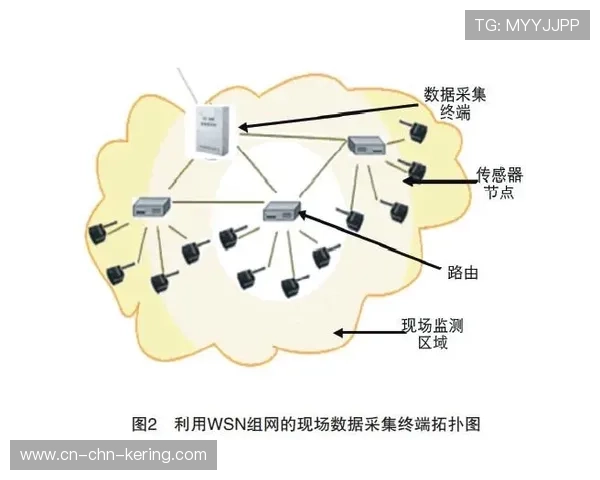 物联网技术连接运动设备，数据采集维度扩展
